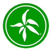 (c) Bambus-pflanze.info